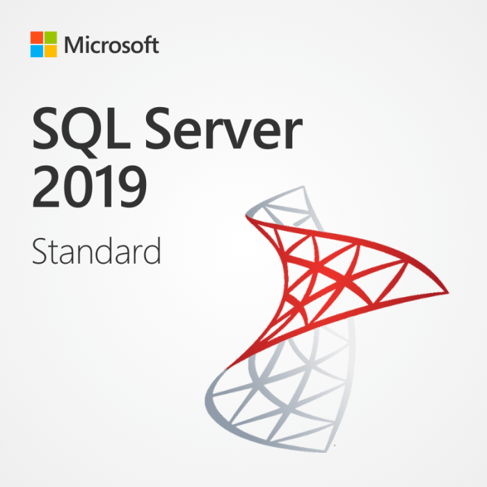 Microsoft SQL Server Standard 2019 Lifetime License Key