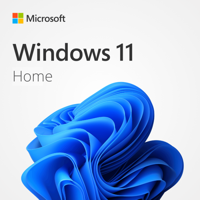 windows 11 home Lifetime License Key
