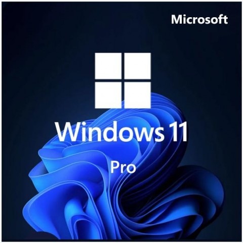 Windows 11 Professionnal Lifetime Licence